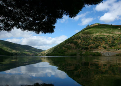 Paisaje del Valle del Duero