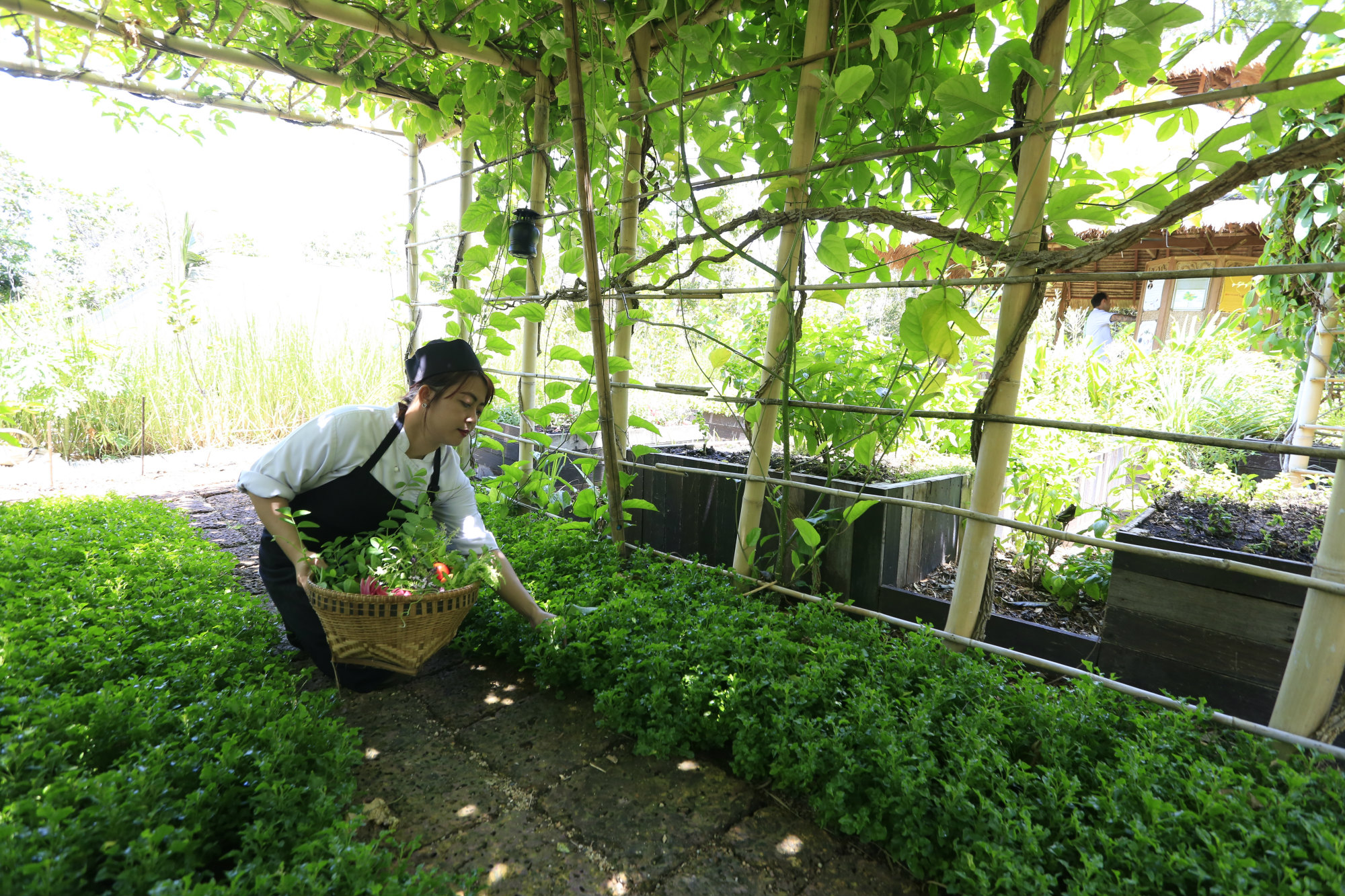 sssmu_farmonthehill2