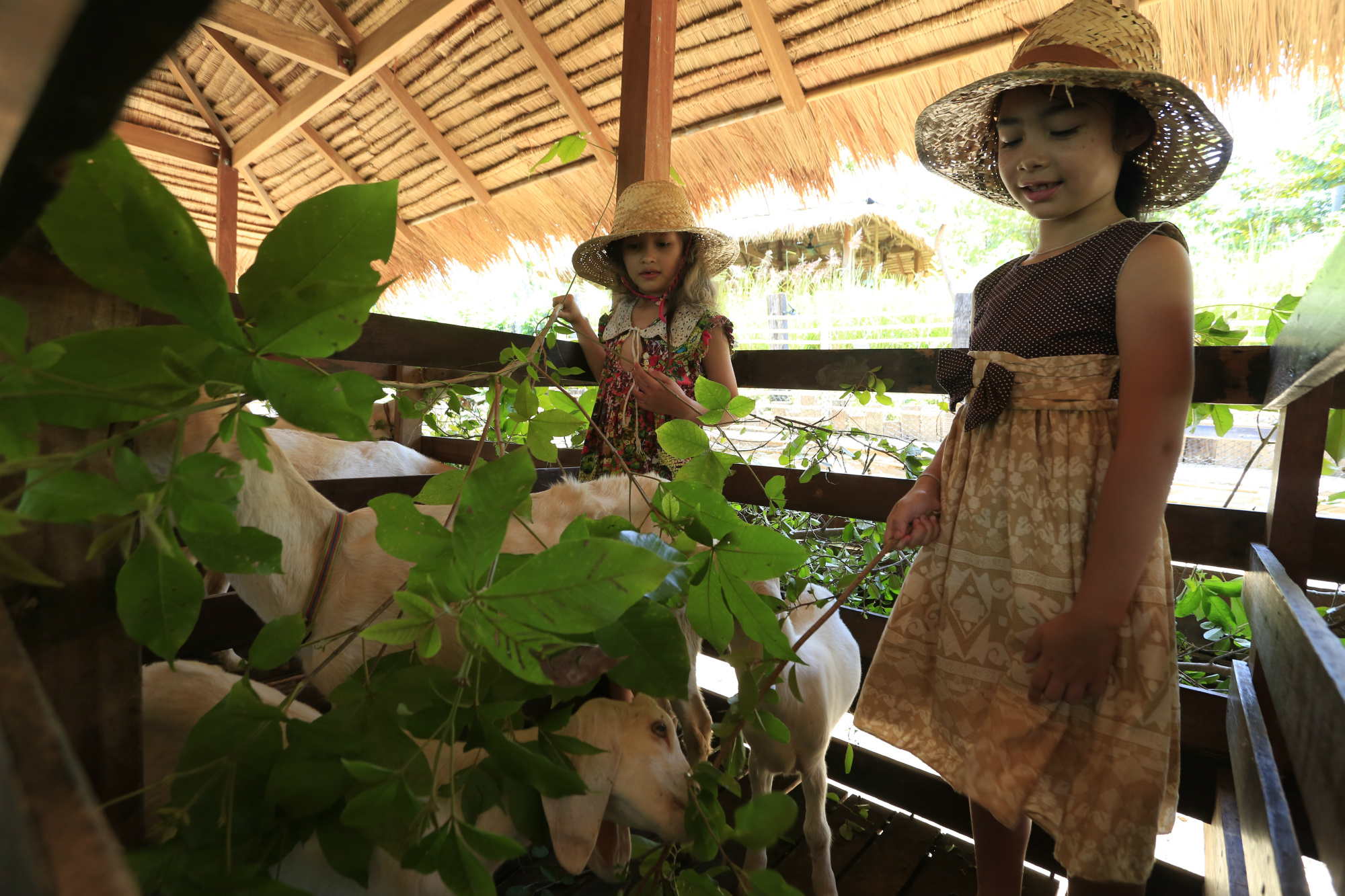 sssmu_farmonthehill3