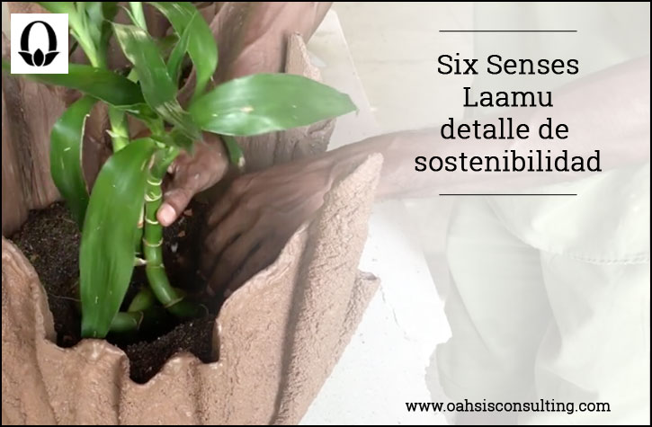 Six Senses Laamu, detalle de sostenibilidad