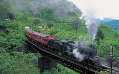 Tips if you are planning the perfect trip to Sri Lanka