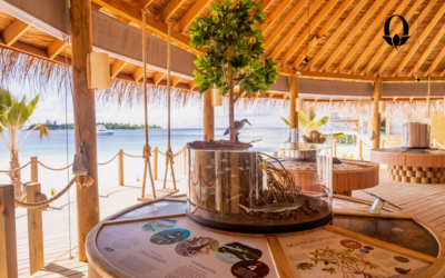 Marine conservation and education meet high-end hospitality on the shores of Six Senses Laamu