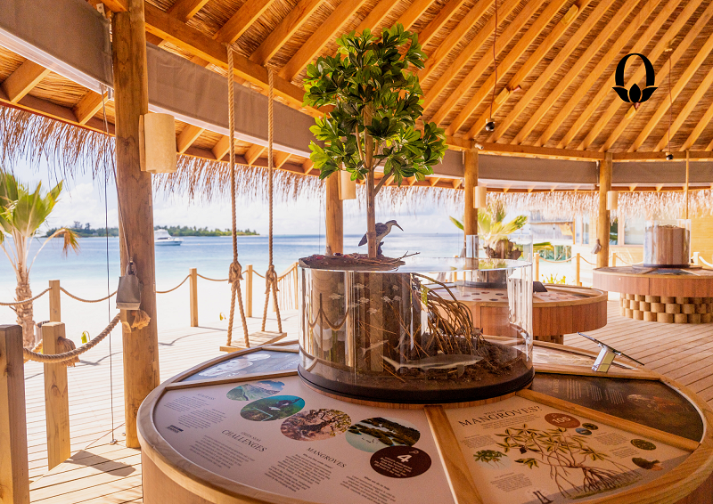 Marine conservation and education meet high-end hospitality on the shores of Six Senses Laamu