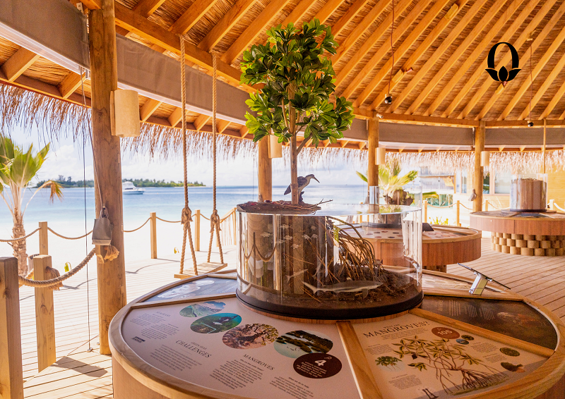 La conservación marina y la educación se unen a la hospitalidad de alto nivel a orillas del Six Senses Laamu