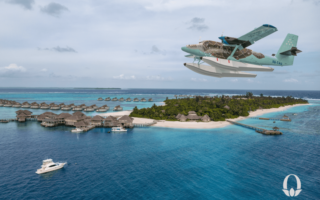 Six Senses Laamu, start your experience aboard the exclusive Flying Turtle seaplane.