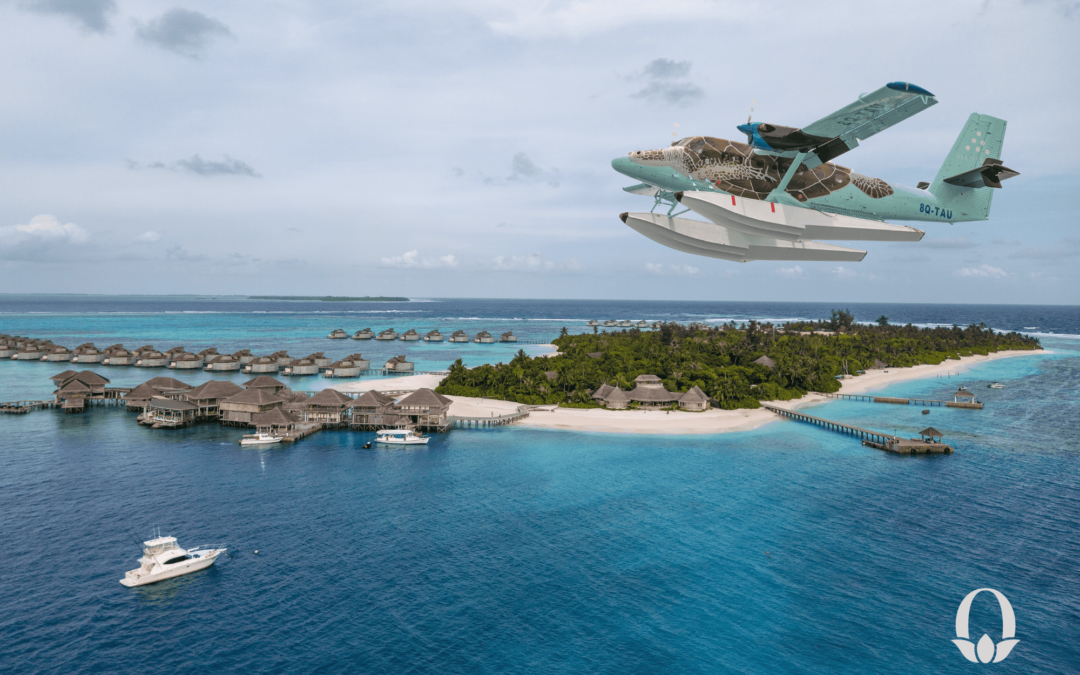 Six Senses Laamu, comienza tu experiencia a bordo del exclusivo hidroavión Flying Turtle