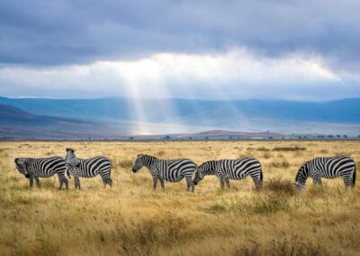 Tanzania