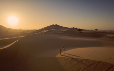 Oahsis Consulting llega a Arabia Saudí